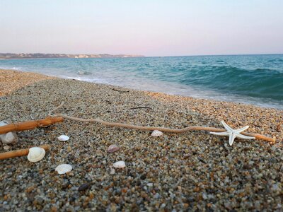 Shells sand