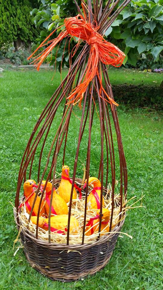 Geese pumpkins orange