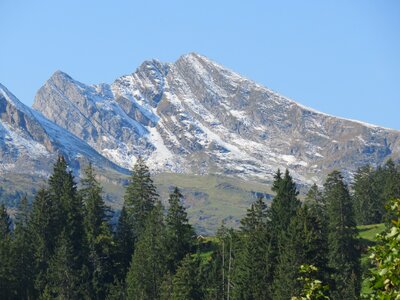 Switzerland mountains forest
