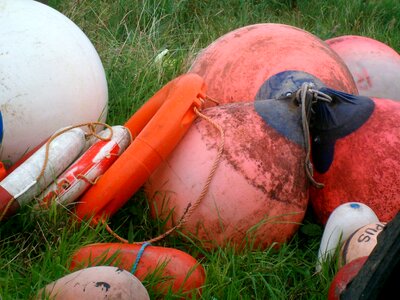 Lifebuoy colorful nautical photo