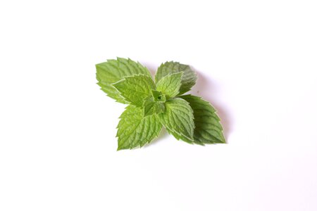 Food tea green