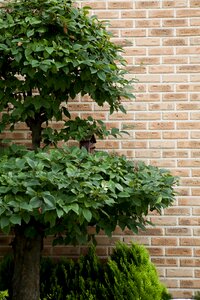 State of the union wall nature