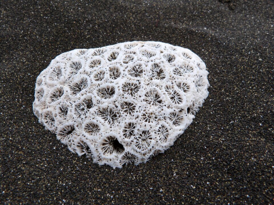 The meeting black sand heart