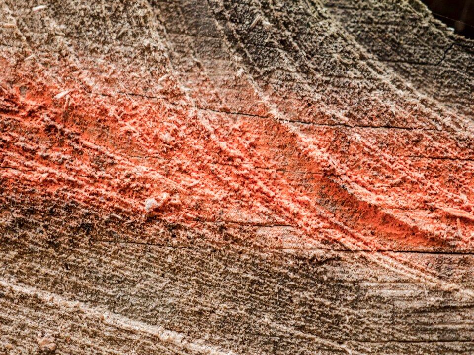 Surface color mark