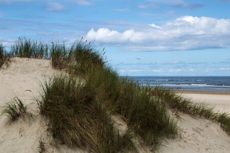 East frisia beach sand