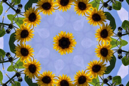 Summer kaleidoscope yellow