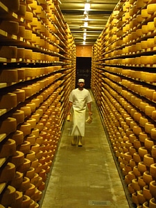 Dairy food production