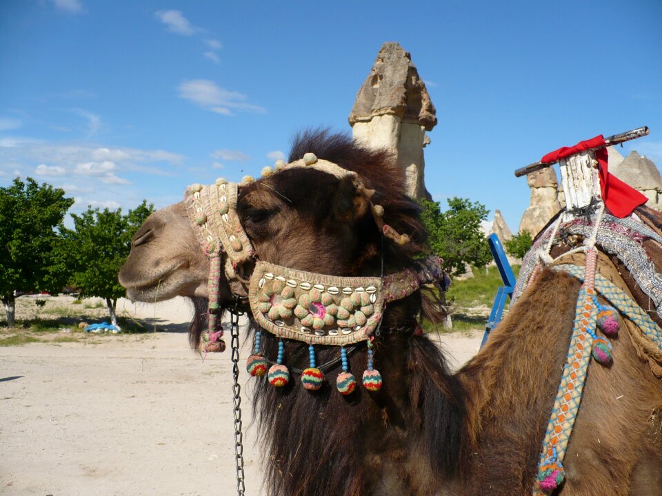 Turkey cappadocia east