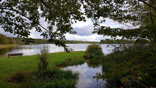 Landscape nature summer