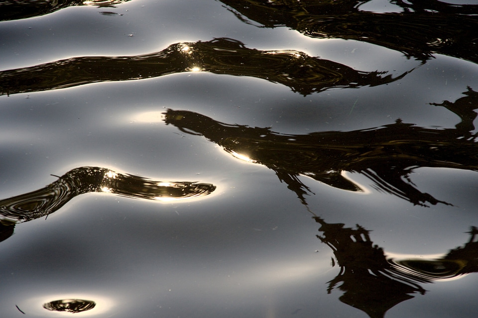 Lichtspiel reflections wave