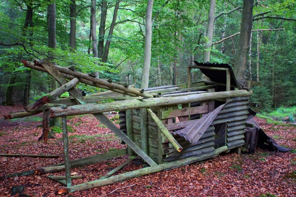 Morsch fell down destroyed