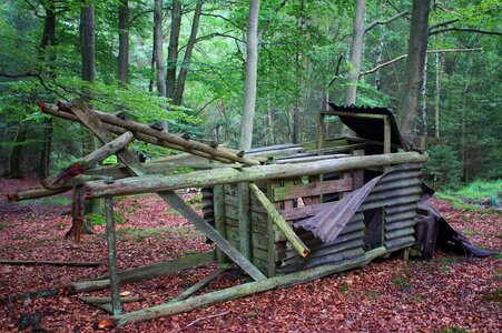Morsch fell down destroyed