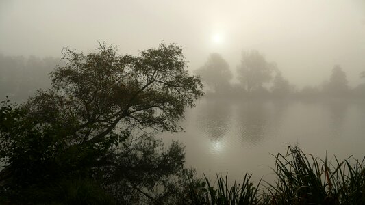 Landscape nature fog photo