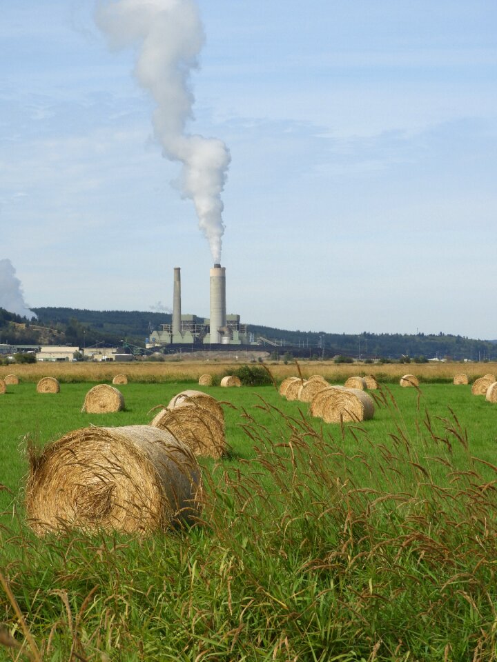 Bales agriculture steam