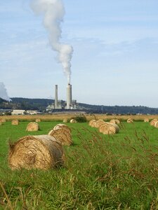 Bales agriculture steam