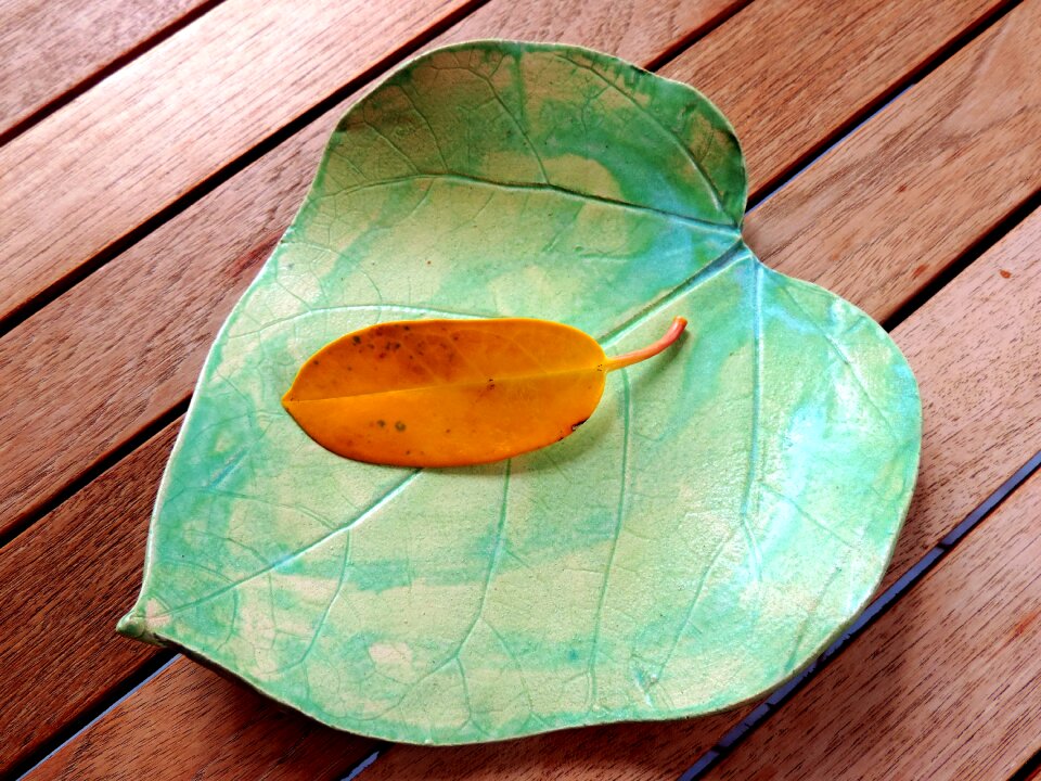 Decoration still life transience