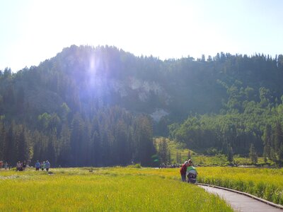 Trail path