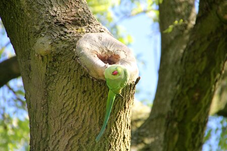 Amsterdam animals park