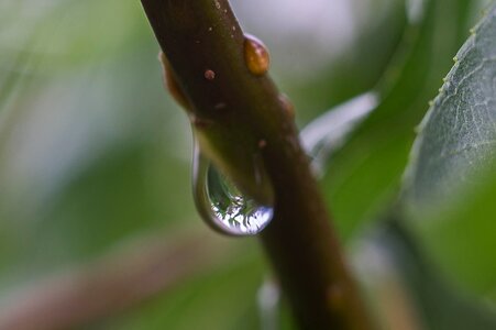 Raindrop drop of water close up photo