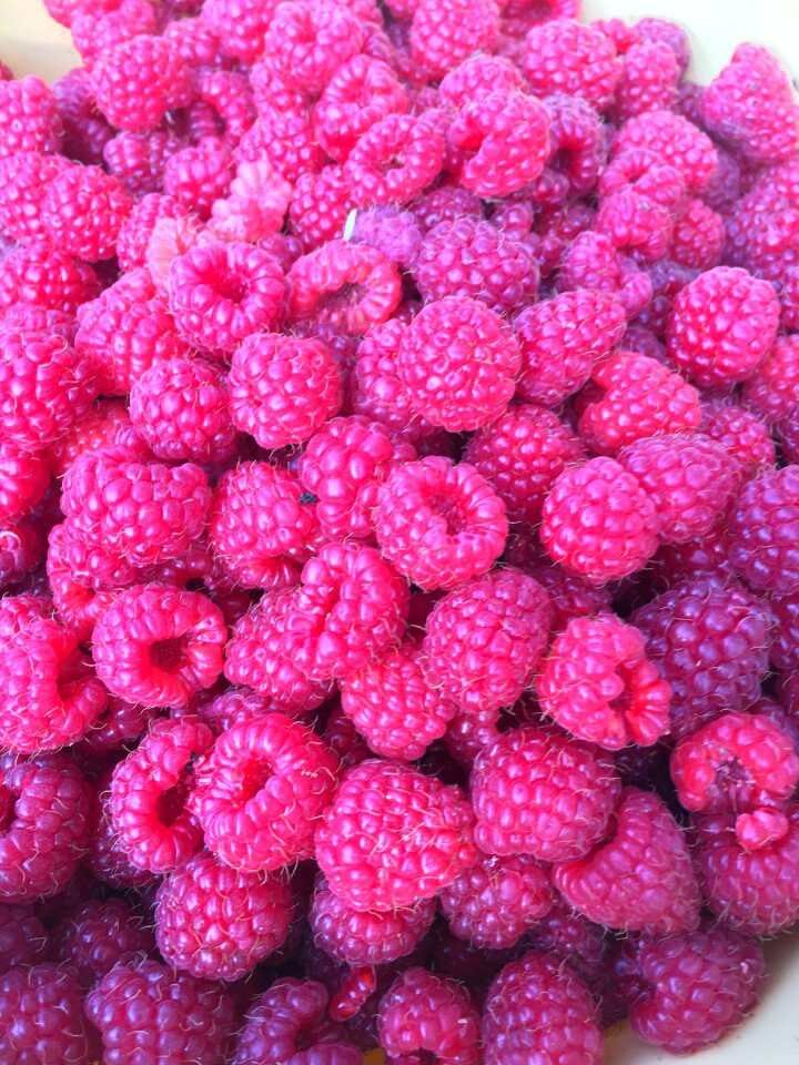 Owowce plant ripe fruit