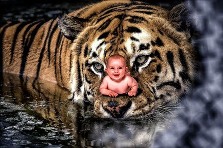 Amazing children magic