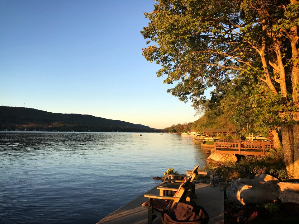 Dock nature