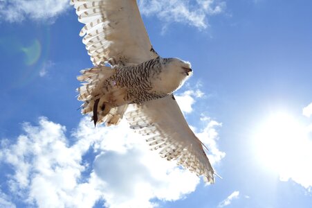 Flight air blue sky