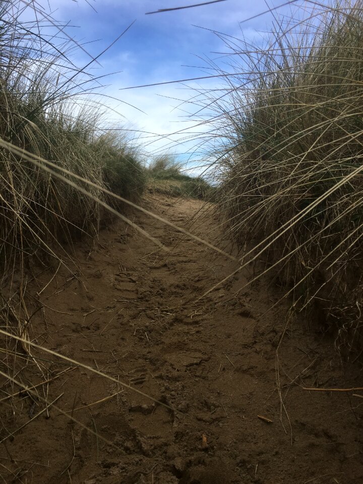Five finger beach away path
