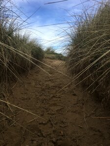 Five finger beach away path