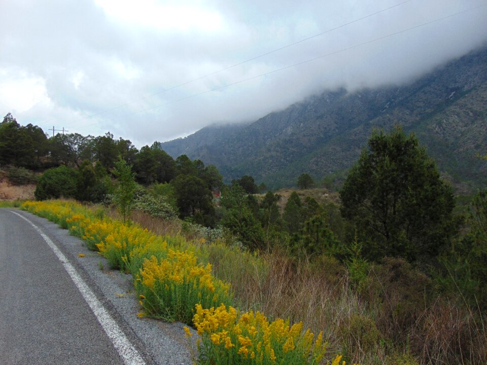 Nature wallpaper highway