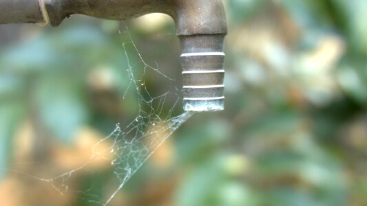 No water drought green web