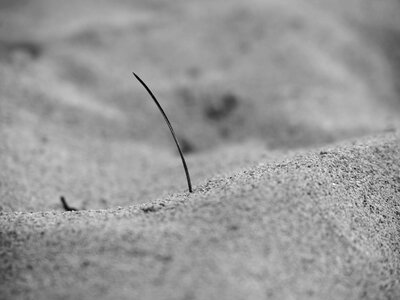 Dunes macro stones photo