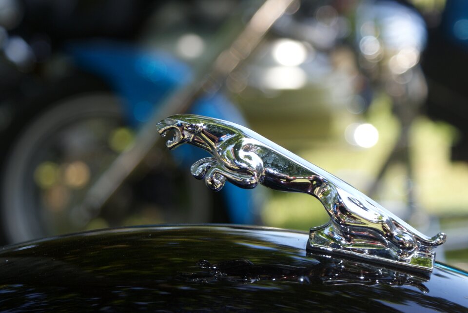 Automobile acronym tawny