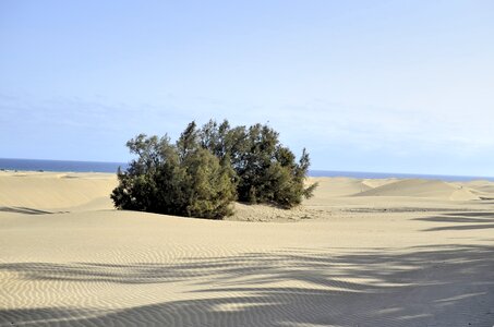 Gran canaria the sand dunes ocean photo