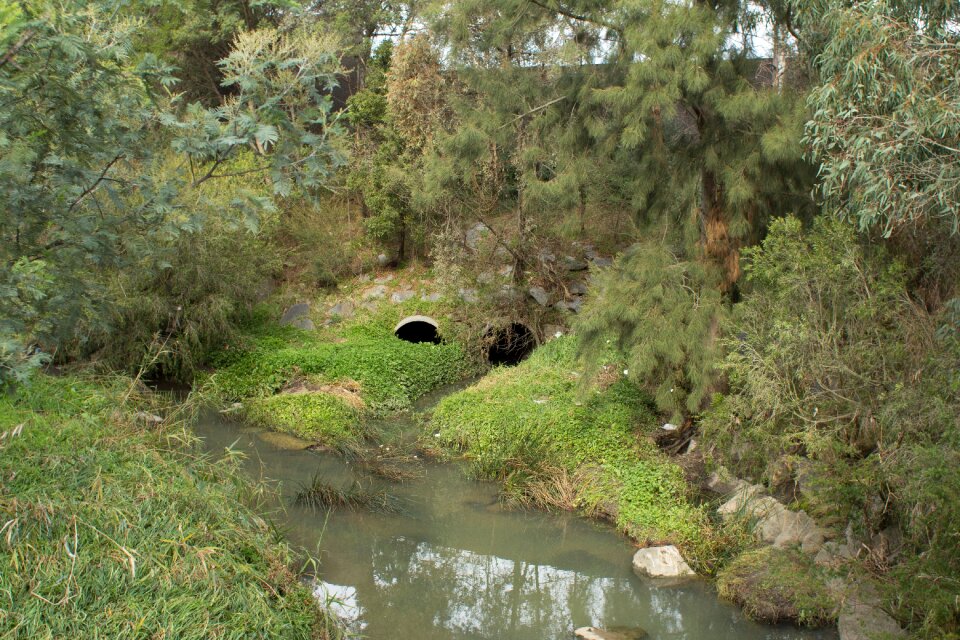 Landscape stream water