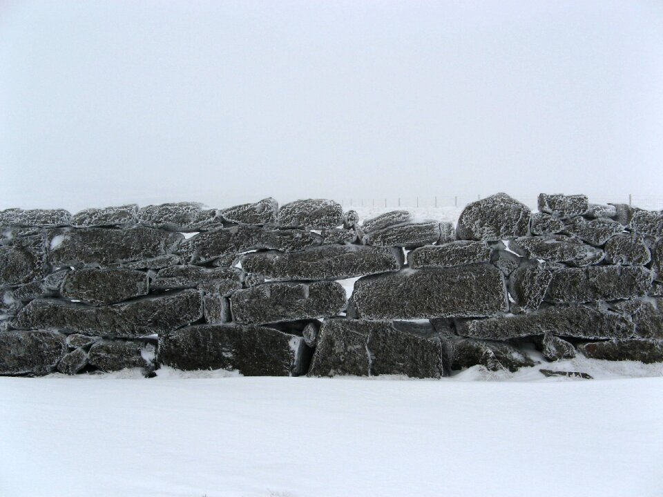 Snow winter