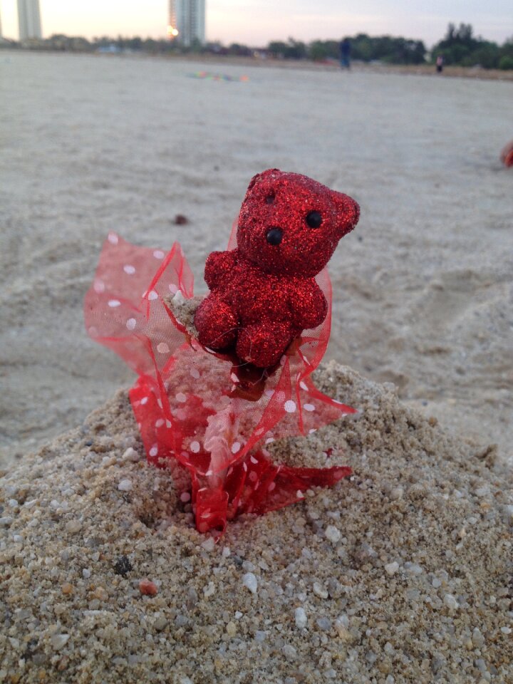 Child teddy cute