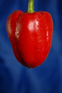 Bell pepper fruit vegetable photo