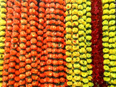 Home decor colors free image