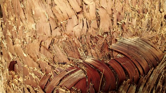 Pattern dry