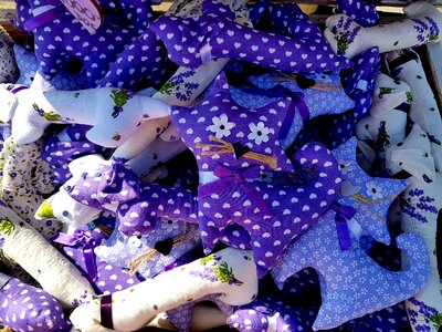 Autumn tihany purple