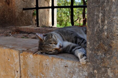 Sleeps lying monastery