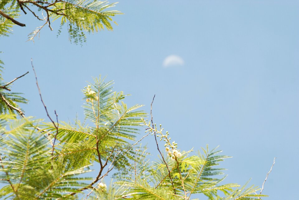 Guajes moon landscape