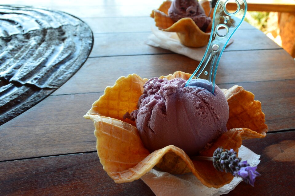 Delicious gastronomy flowers