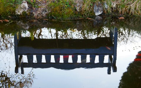 Bench fish goldfish photo