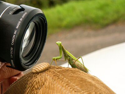 Nature animals living nature