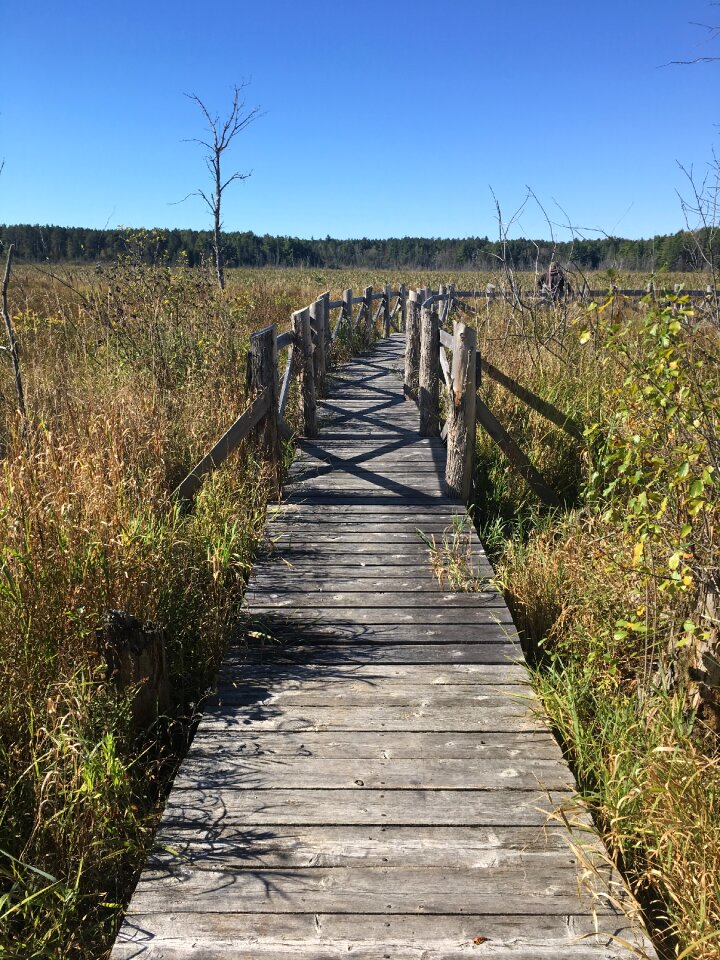 Nature sky trail