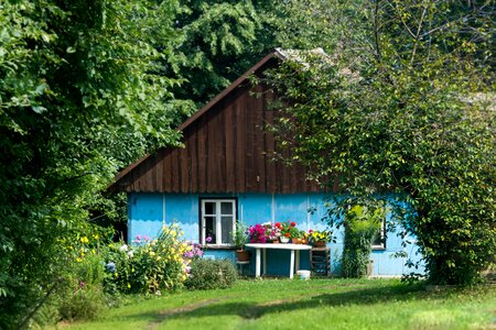 Village flowers cottage photo