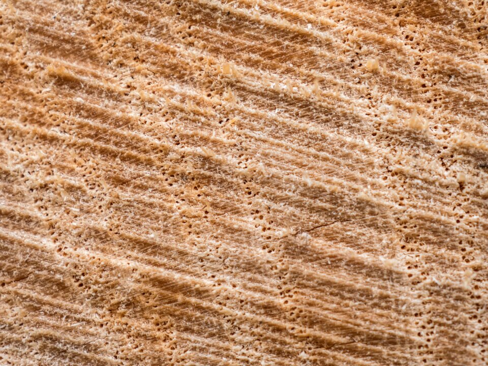 Surface close up grain