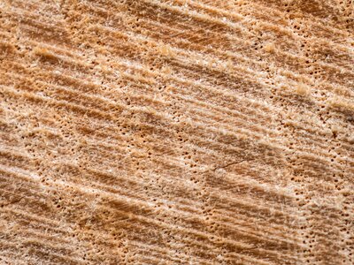 Surface close up grain